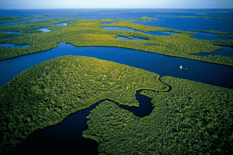 Everglades National Park