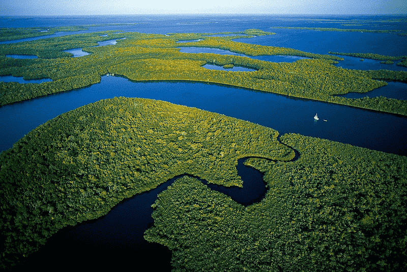 Everglades Park