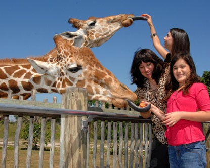Zoo Miami: Florida's Largest Zoo