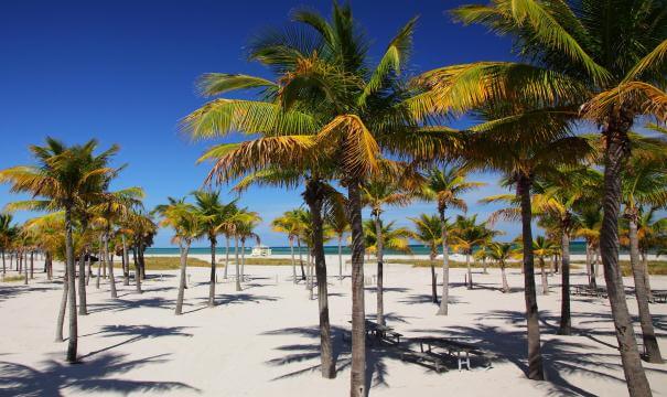 Cool beaches in Miami