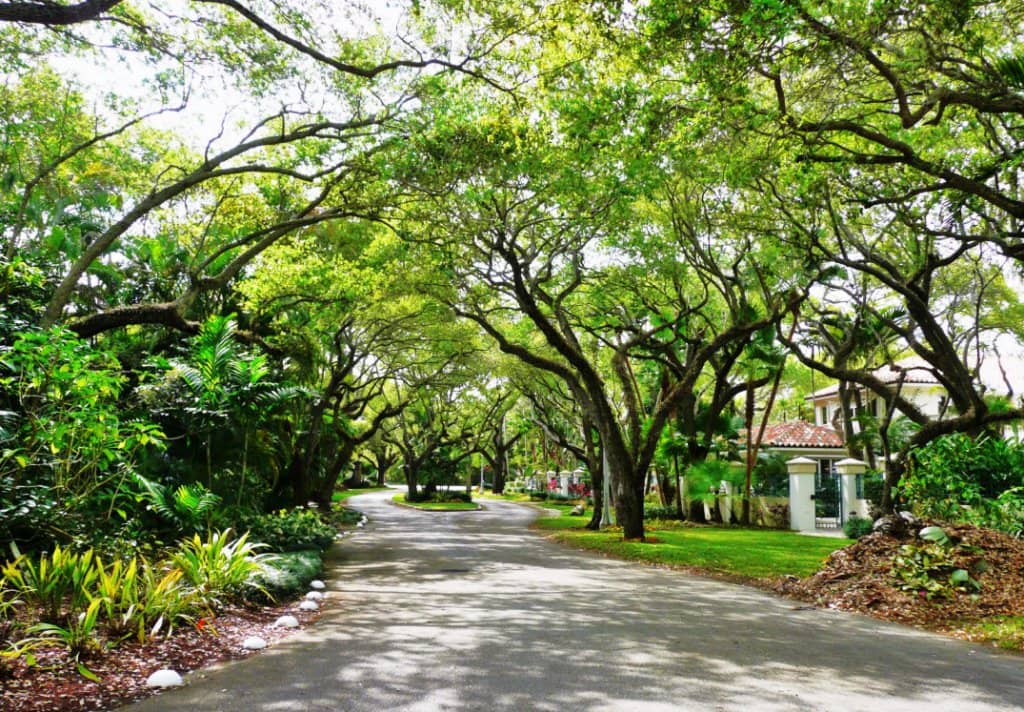 Location of the Coconut Grove neighborhood in Miami