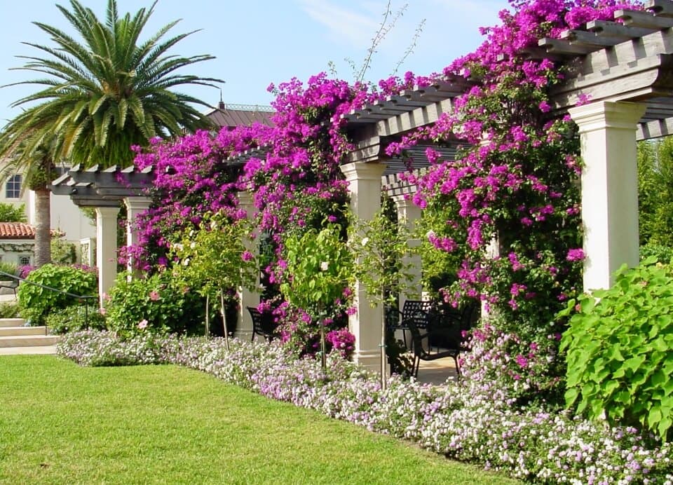 Gardens at Palm Beach