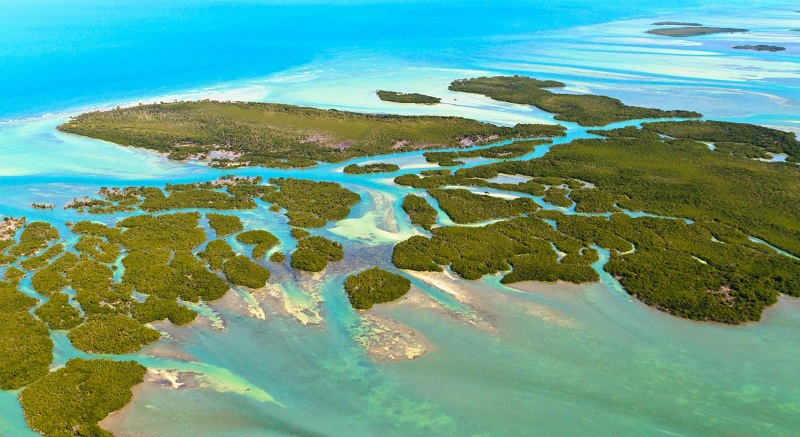 Florida Keys: travel guide through the islands