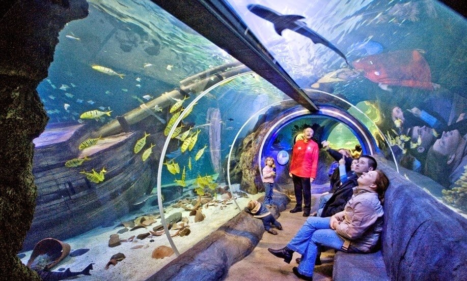 Sea Life Orlando Aquarium on I-Drive 360