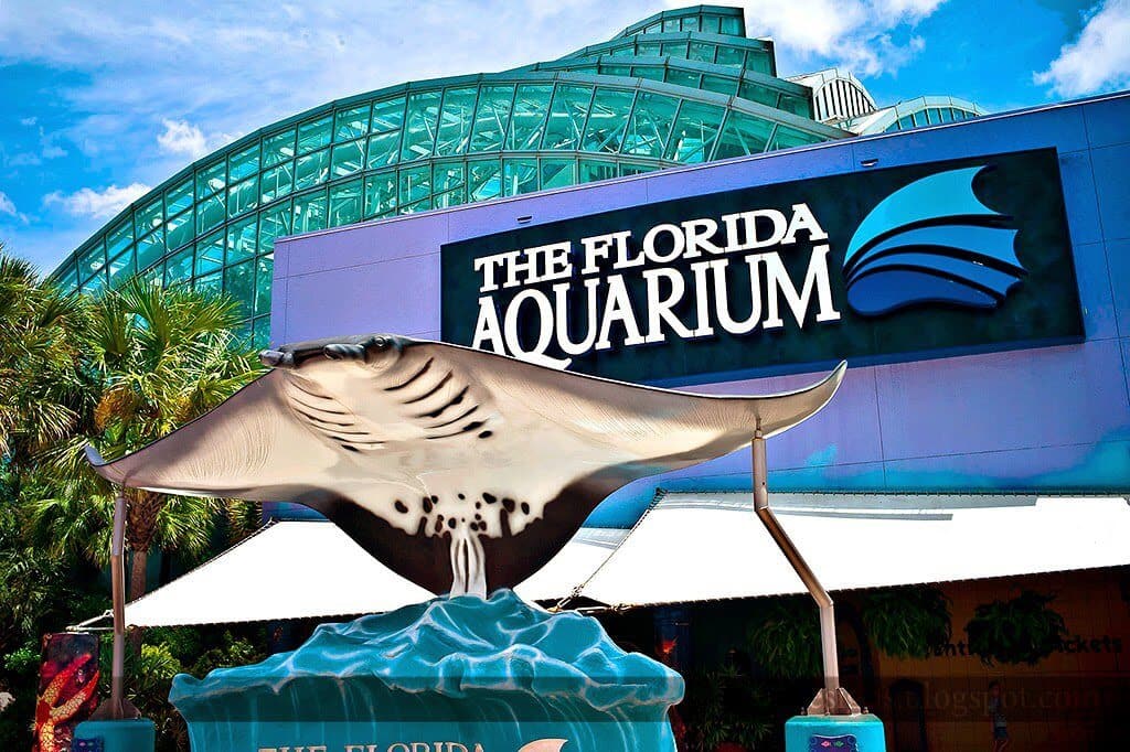 Florida Aquarium Tampa 