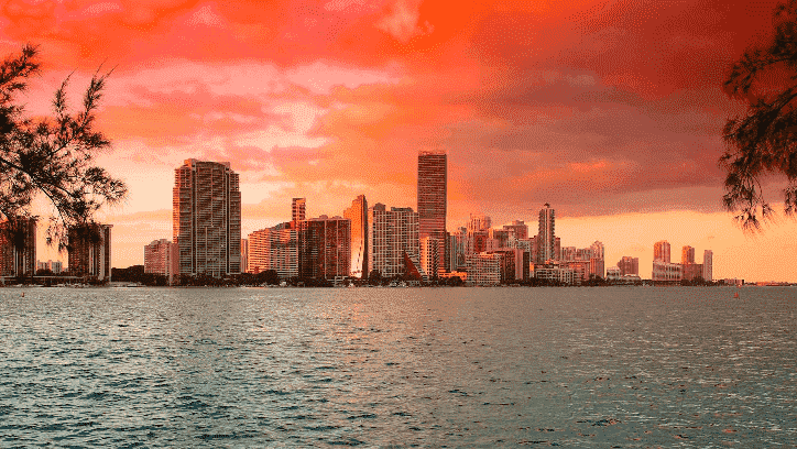 Miami in august