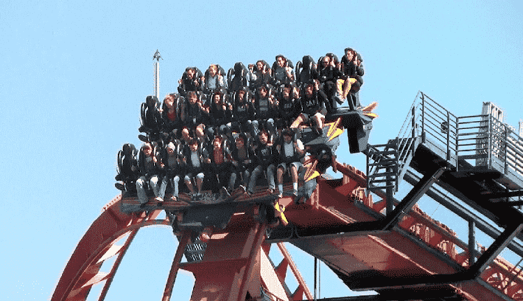 Sheikra roller coaster