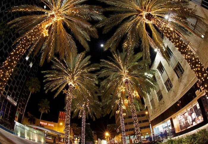 Christmas in Miami 