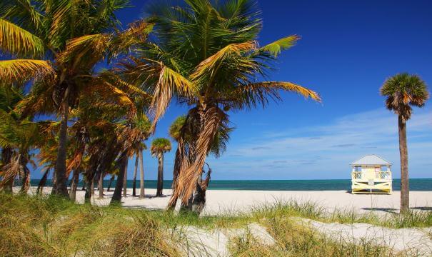 Crandon Beach in Miami