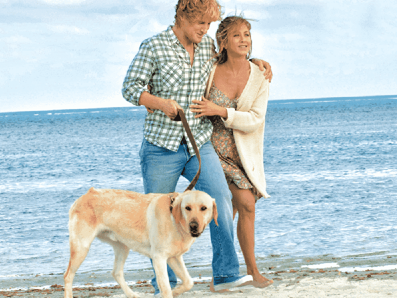 Marley And Me scene in Miami