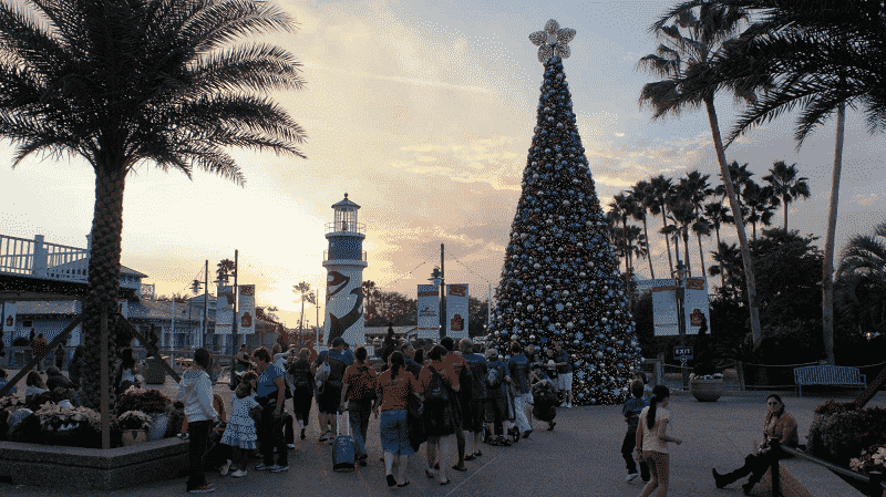 Christmas Parties and Celebrations at Seaworld park
