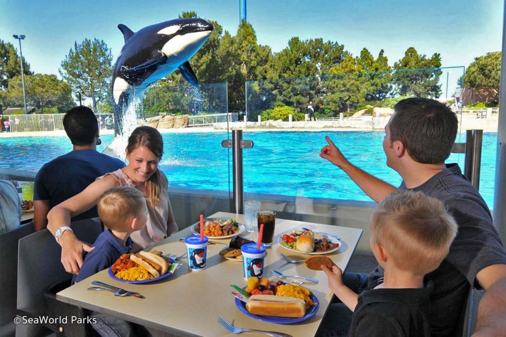 Orca Whale Lunch at SeaWorld